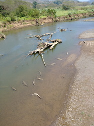 COSTA RICA-20190220-2081